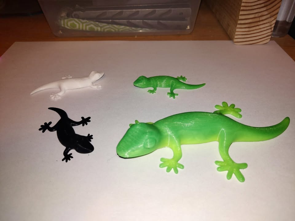 3D Printed Gecko