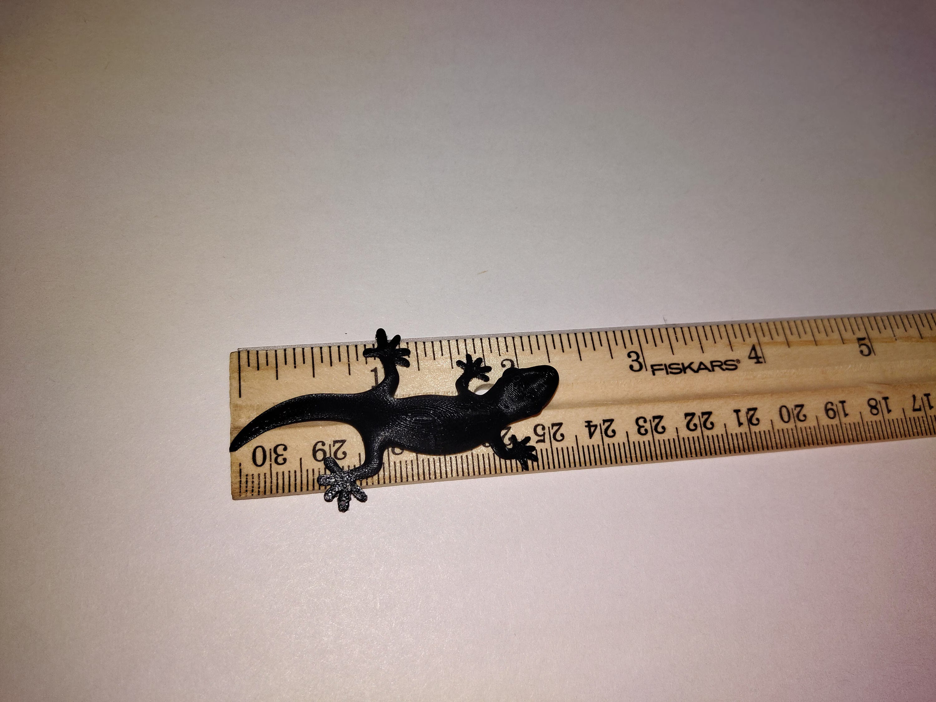 3D Printed Gecko
